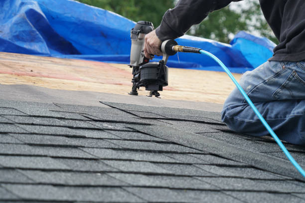 Best Roof Leak Repair  in Escanaba, MI