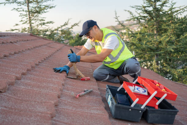Best Metal Roofing Contractor  in Escanaba, MI