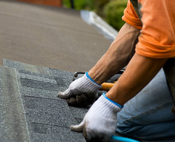 Best Affordable Roofing Company  in Escanaba, MI