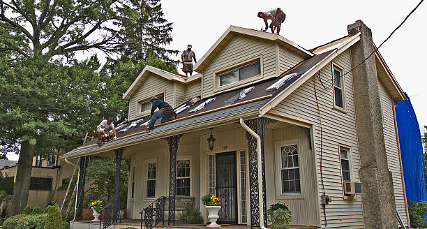 Best Roof Repair Services  in Escanaba, MI